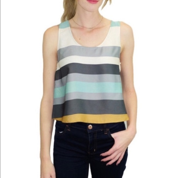 RELISHED Striped Satin Crop Top LAST ONE - Picture 1 of 4